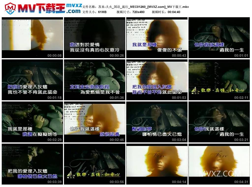 苏来-大火_国语_流行_MEC01260